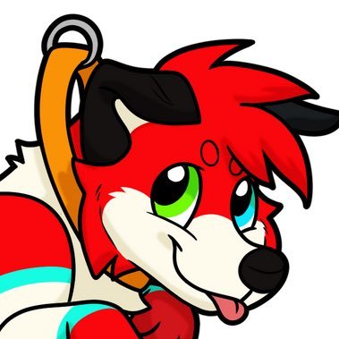 Wrong target area collie ⚡️🌪️'s profile picture