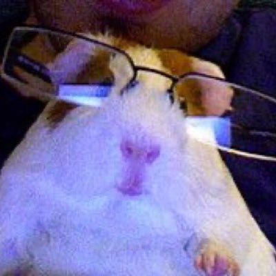 Backup_MMD's profile picture