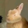 TTL446's profile picture