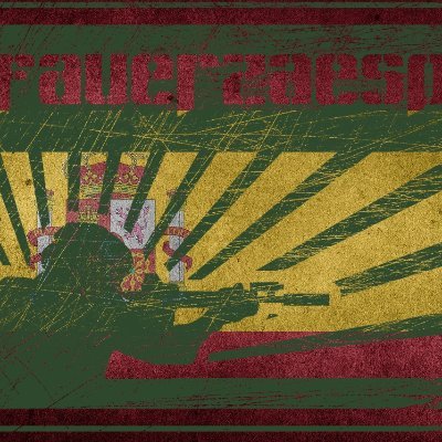 (Fauerzaesp) Fuerzas Especiales's profile picture