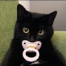 🐈⬛🍼 Gato de Chupeta🍼🐈⬛ 的头像