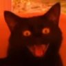 Eric M A's profile picture