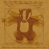 Фото профиля Steven Wright
