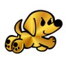 WUHD's profile picture
