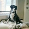 Celtic_Mysts's profile picture