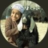الوالي profil fotoğrafı