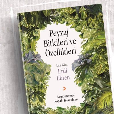 PeyzajBitkileri's profile picture