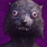 Фото профиля RiverWeasel