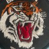 KFCTiger 🐅 profil fotoğrafı