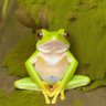 のき profil fotoğrafı