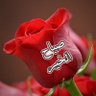 ابو هيثم's profile picture