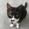 MIH profil fotoğrafı