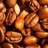 الغاذي. profil fotoğrafı