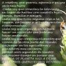 Фото профиля Llauroman