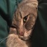 Thanatos's profile picture