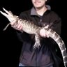 Jamie Hohan's profile picture