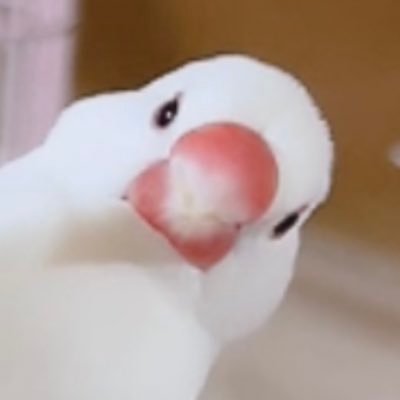 bunchiki_life's profile picture