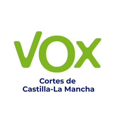 VoxCLM's profile picture