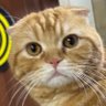 ♡bebbbyp profil fotoğrafı