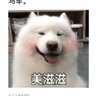 抄作业 的头像