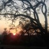 Profilbild von Vee_9687