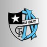Фото профиля Botafogo de Marseille