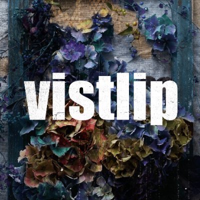 vistlipofficial's profile picture