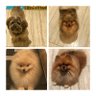 CrispyOz's profile picture