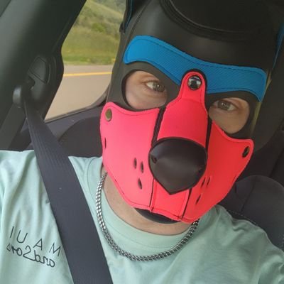 pupatlas_ny's profile picture