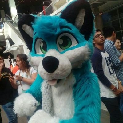 🧦Tykko ☯ Kerensky🧦🔜 your socks ❤️'s profile picture