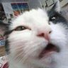 Anonboi_69 profil fotoğrafı