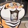 Profilbild von Eric zhang