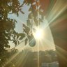 KickTheRoaD's profile picture