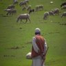 Фото профиля أحمد بن ردة