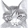 Фото профиля Crazycat