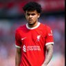Scouse Lucho profil fotoğrafı