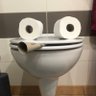 MonsieurToilette 的头像