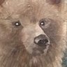 Profilbild von ktln0