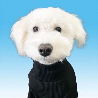 しびれ(ホルモン)'s profile picture