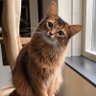 raira_chibibin_xxxxxxx profil fotoğrafı