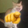 Coquinha 的头像