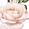 (*)'s profile picture