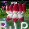 Фото профиля Bishnoi Omprakash