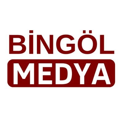 bingolmedya12's profile picture