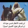 ابن العراق profil fotoğrafı