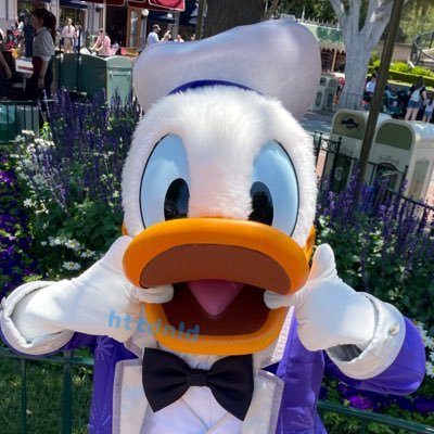 ほたて's profile picture
