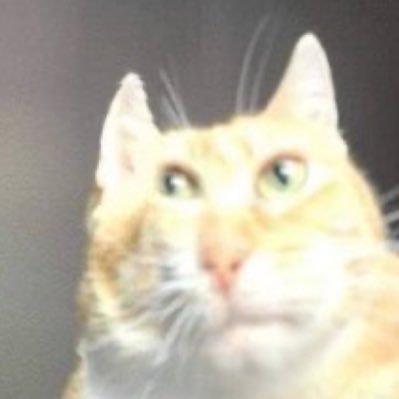 en99ene's profile picture