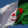 misou Med 🇩🇿 profil fotoğrafı