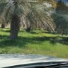 Profilbild von أبو عبد الرحمن