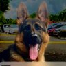 daniel benavides profil fotoğrafı